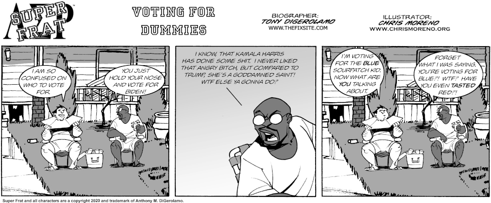 Voting for Dummies Voting for Dummies