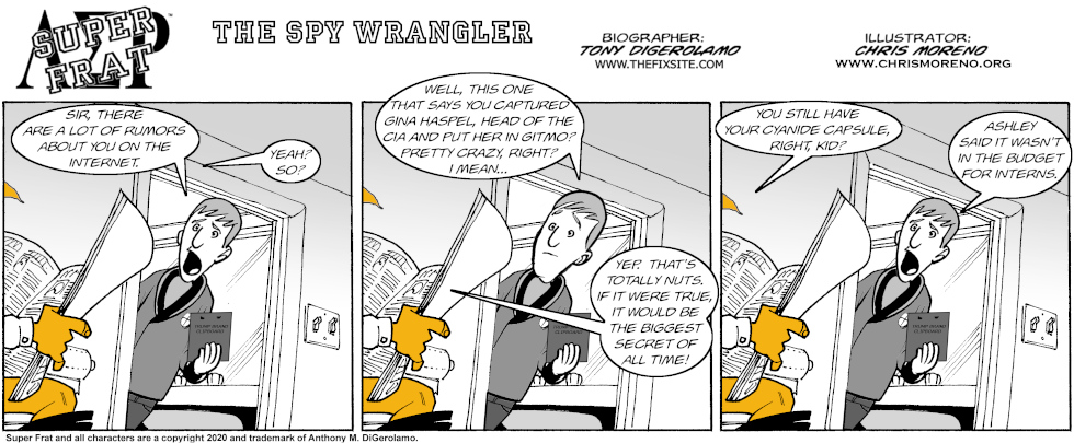 The Spy Wrangler